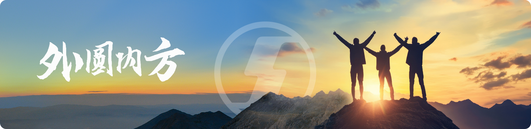 陕西汽车控股集团有限公司