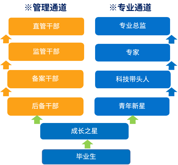 陕西汽车控股集团有限公司