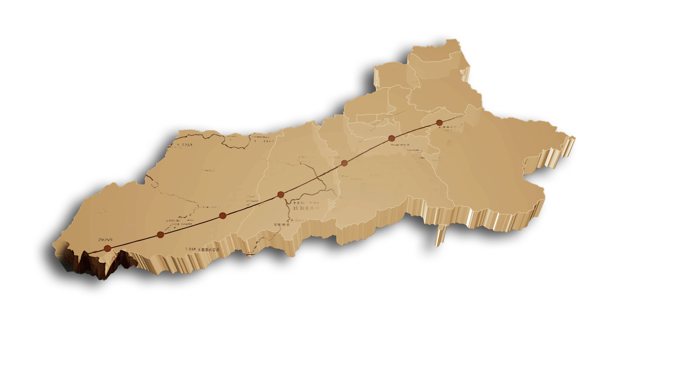 陕西汽车控股集团有限公司